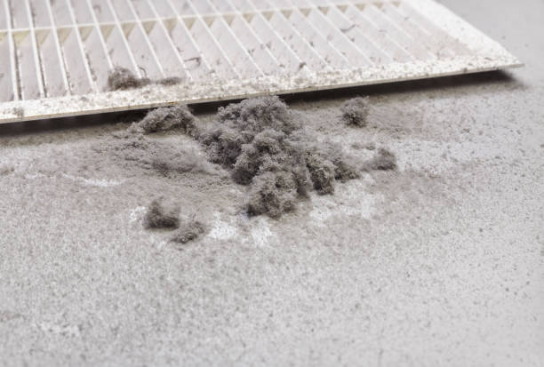 Best Local Air Duct Cleaning Services  in Mentor, OH