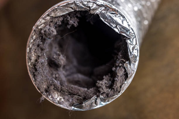 Best Air Duct Cleaning Near Me  in Mentor, OH