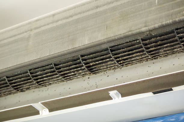 Best Air Duct Sanitizing Services  in Mentor, OH