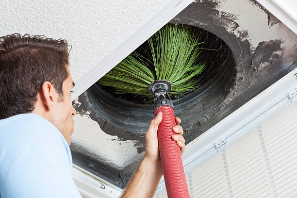 Best Dryer Vent Cleaning Services  in Mentor, OH